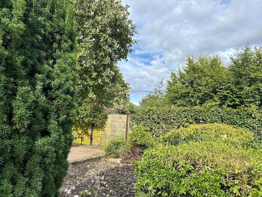 Abacus Cottage Whitwell-on-the-Hill Esterno foto